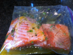 Salmon marinading in ziplock bag