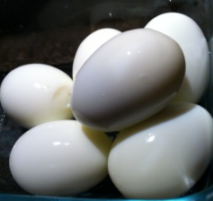 Boiled Eggs